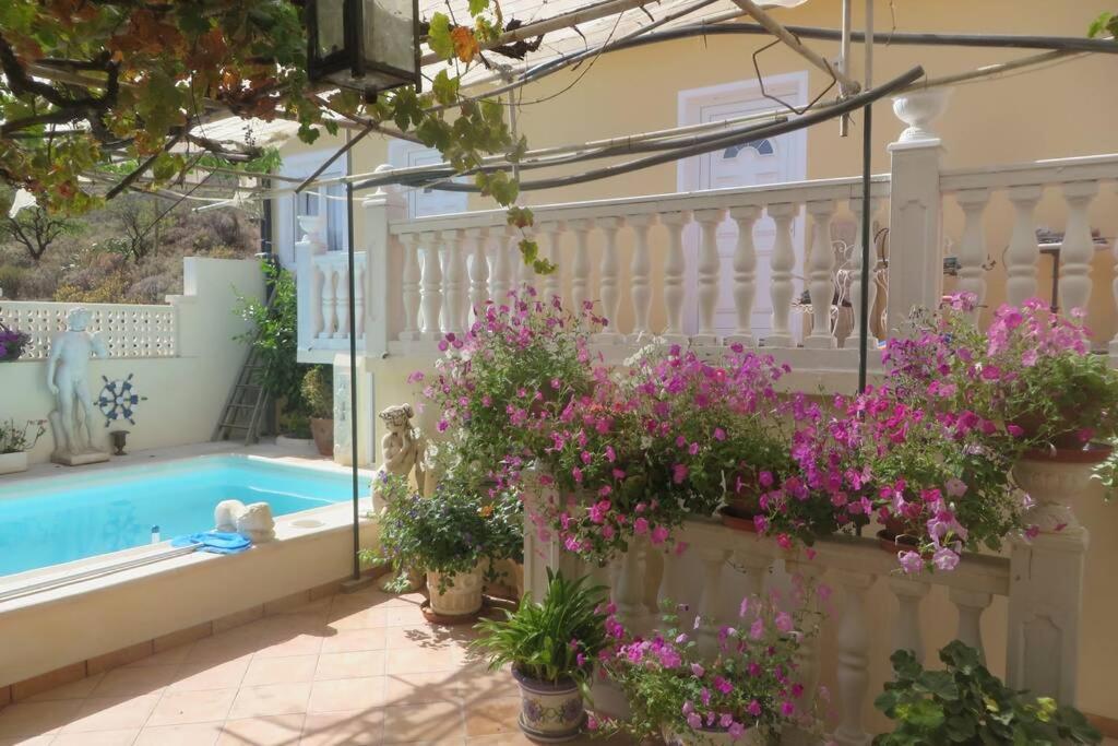 Cortez 2 Apartament